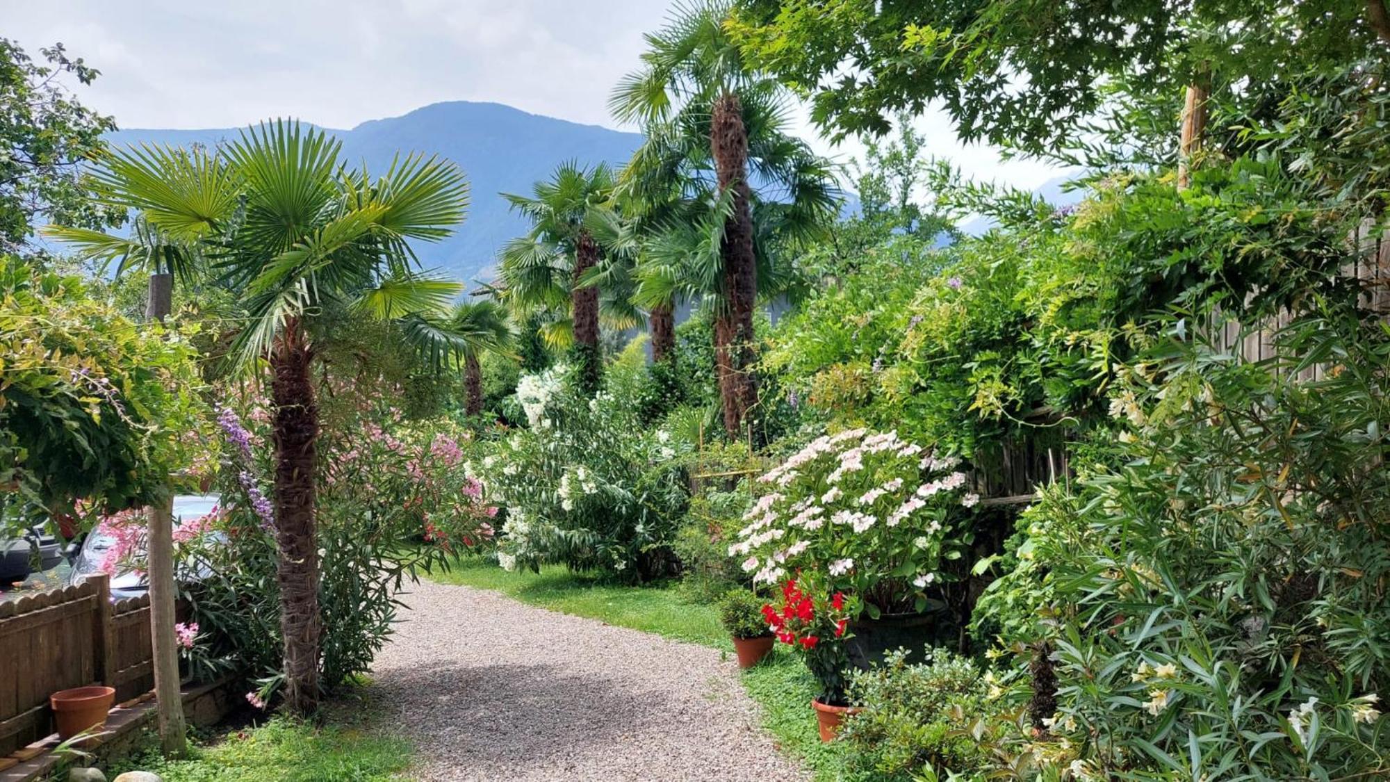 Nora S Home 5 - Panoramic Terrace & Bio Garden Merano Exterior photo
